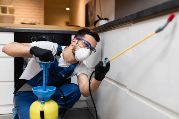 Best Exterminator Services  in Paw Paw, MI