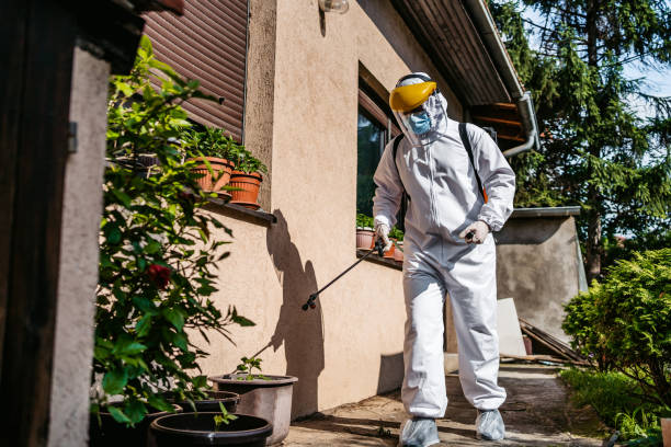 Best Best Pest Control Companies  in Paw Paw, MI