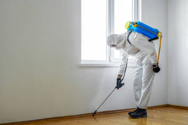 Best Flea Control Services  in Paw Paw, MI