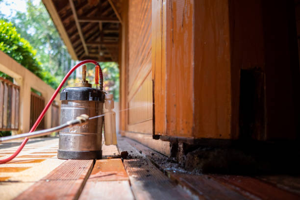 Best Rat Extermination Near Me  in Paw Paw, MI