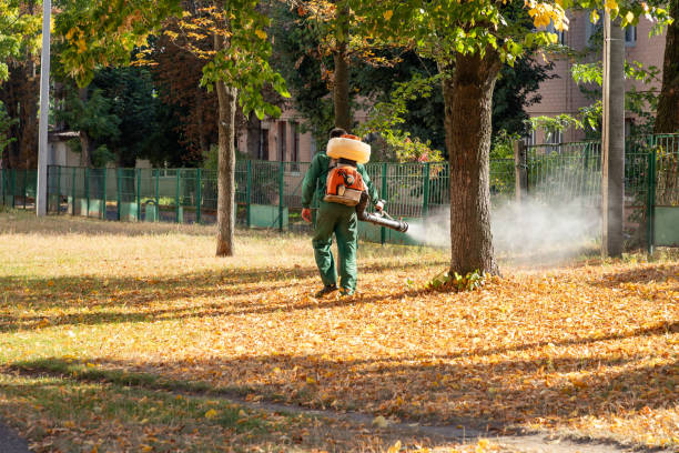 Pest Control Cost in Paw Paw, MI