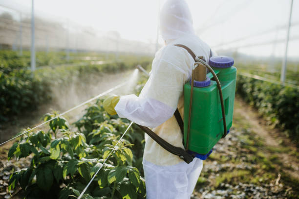 Best Residential Pest Control  in Paw Paw, MI